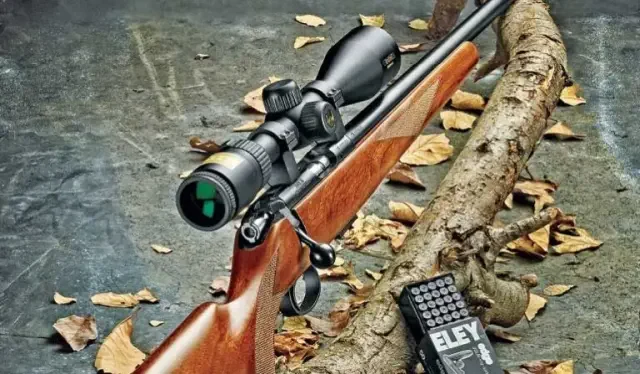 22 Hunting Rifle