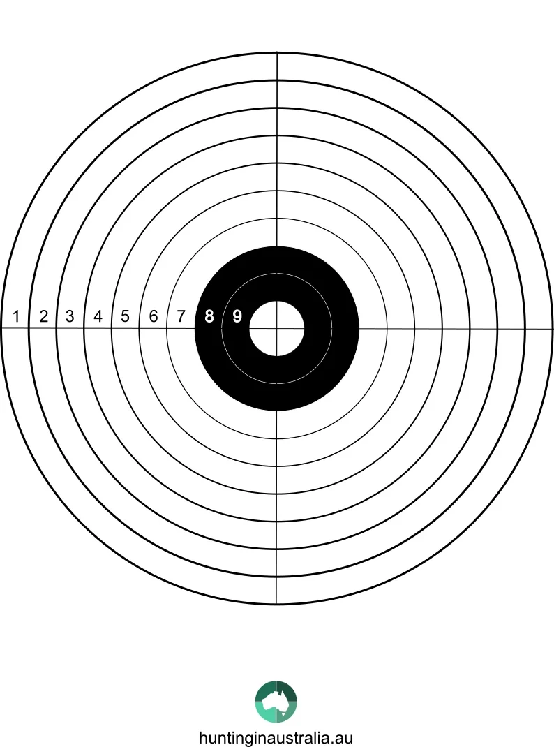 Bullseye-2