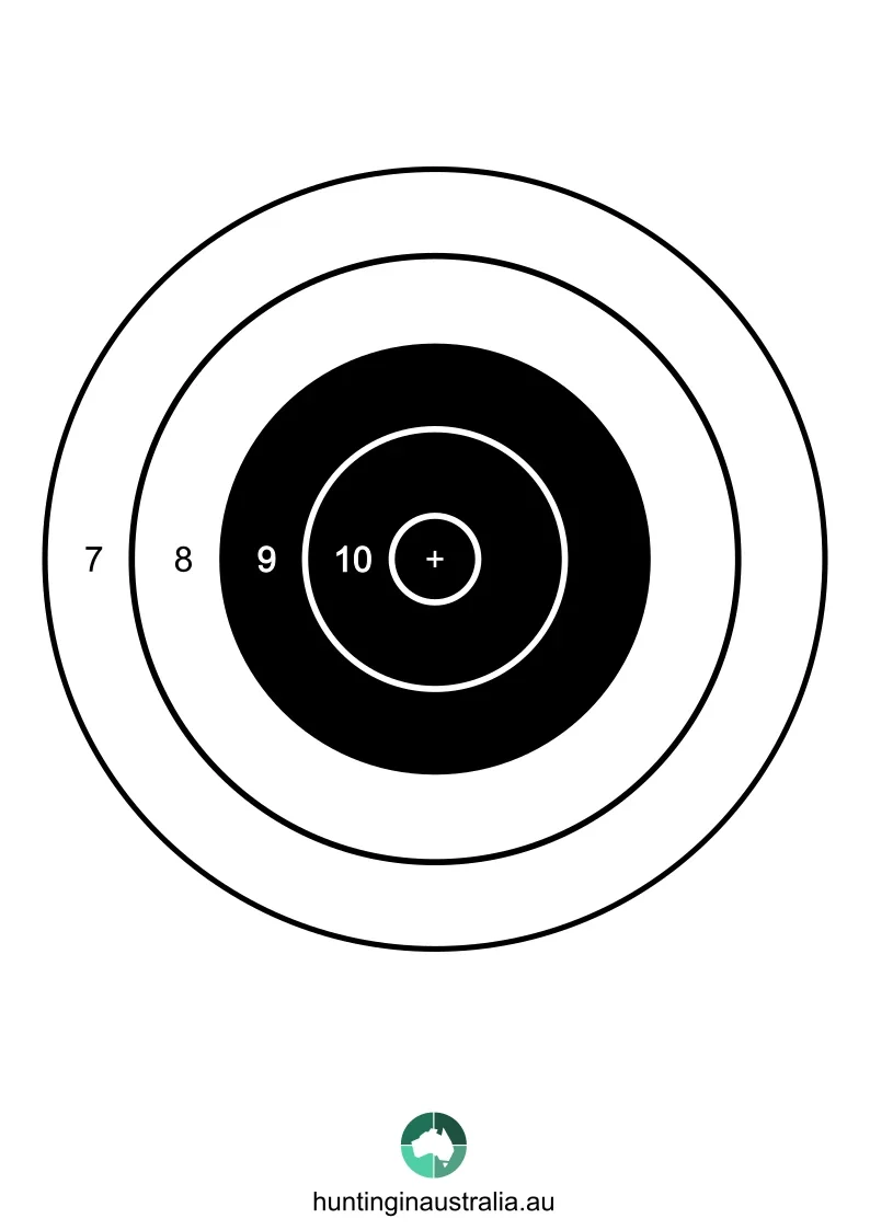 Bullseye-3