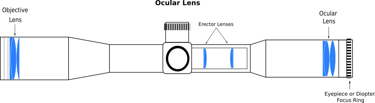 Ocular Lens