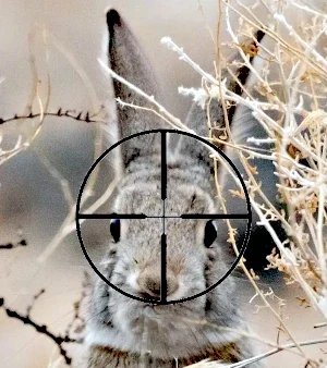 Rabbit front crosshairs