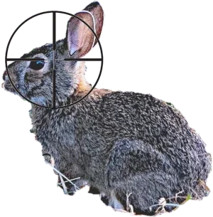 Rabbit side crosshair