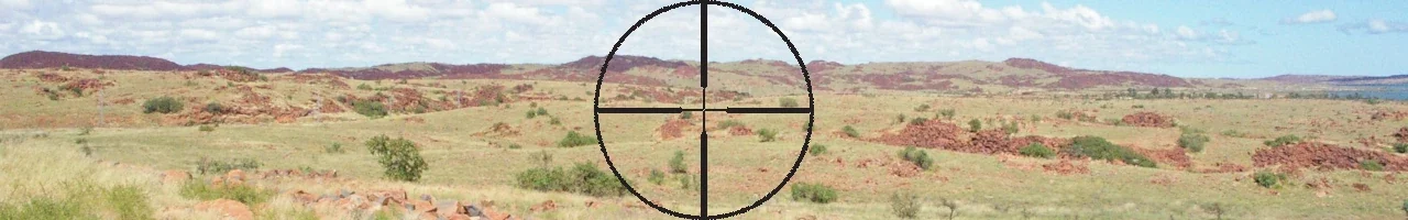 Reticles